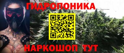 PSILOCYBIN Тверь