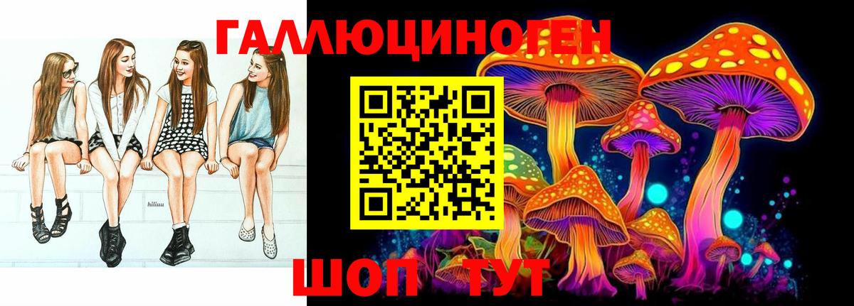 Галлюциногенные грибы Psilocybe  Вход с VPN  Приморско-Ахтарск  Псилоцибиновые грибы Psilocybe 