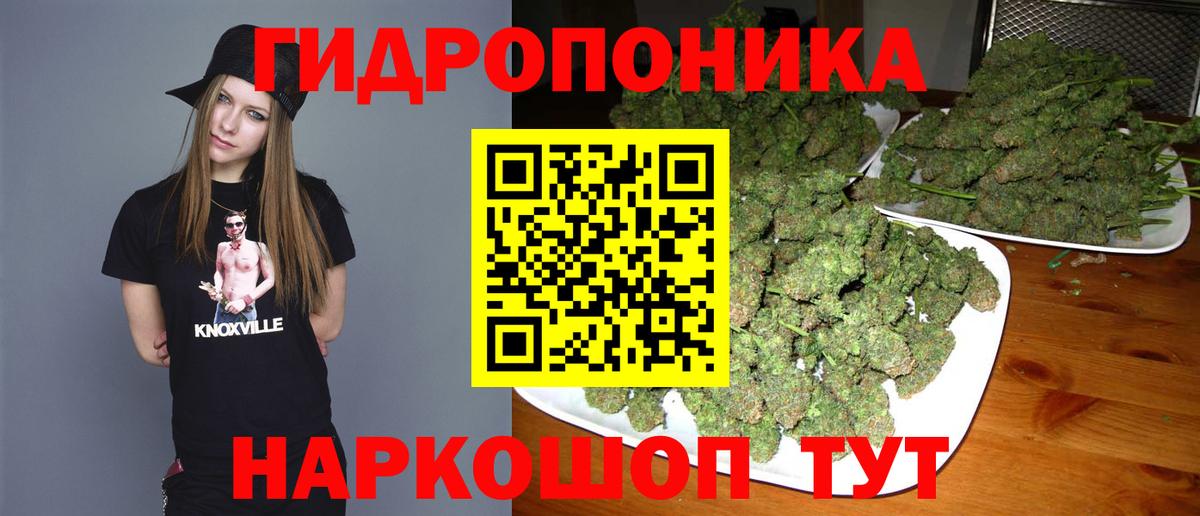 Бошки Шишки марихуана  Бошки марихуана планчик  Бошки марихуана White Widow  Вход с VPN  Приморско-Ахтарск 